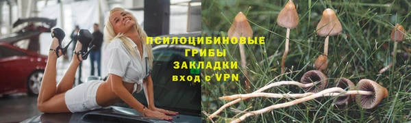 первитин Ладушкин